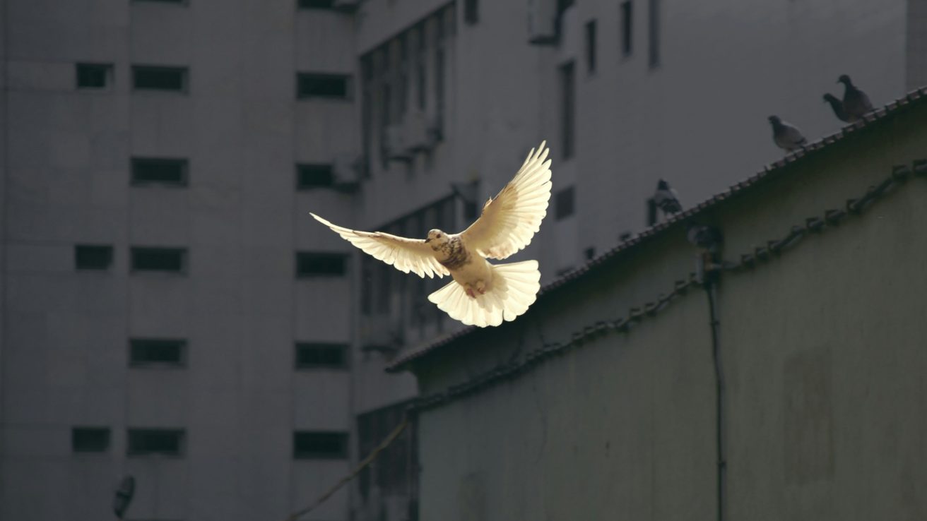 Doha Debates - Don’t settle for a divided world.