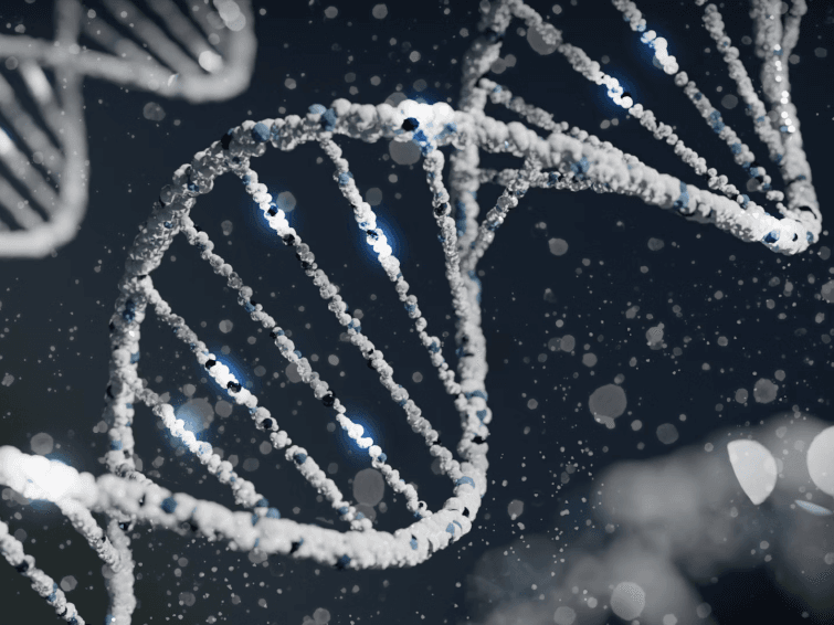 A grayscale image of magnified strands of DNA.